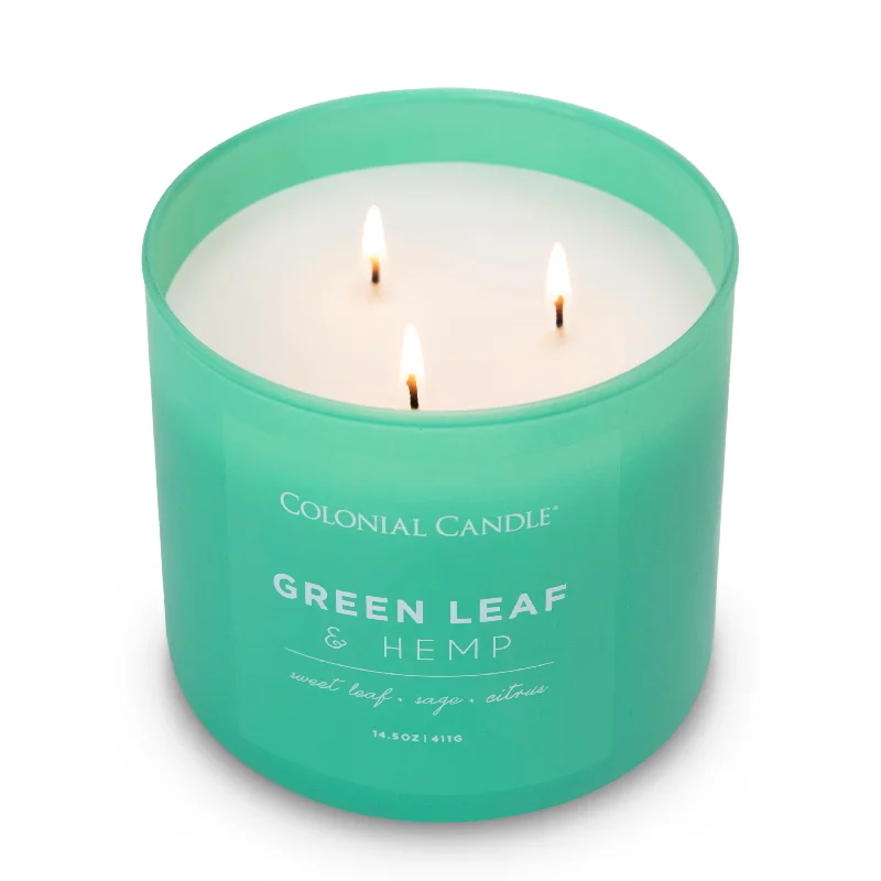 Green Leaf & Hemp Candle, Pop of Color Collection, 14.5 oz