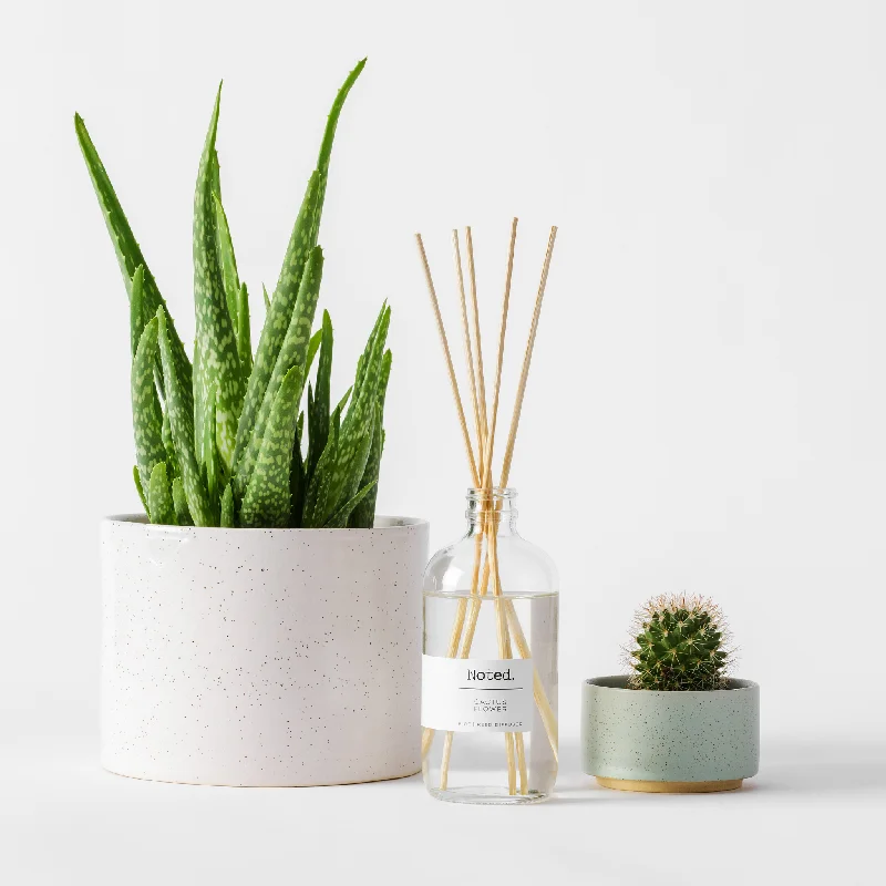 Cactus Flower Reed Diffuser