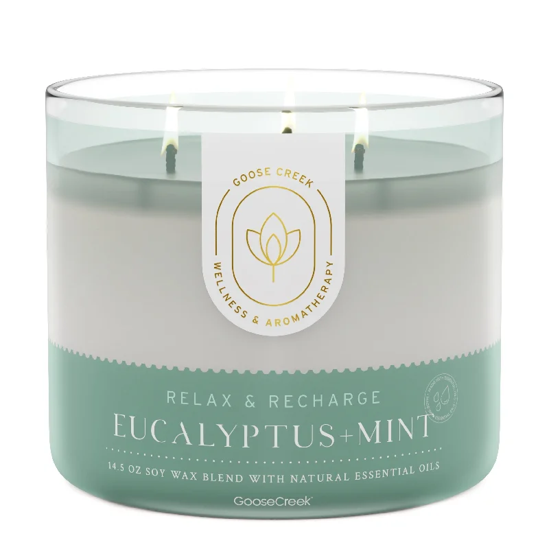 Eucalyptus & Mint Aromatherapy 3-Wick Candle