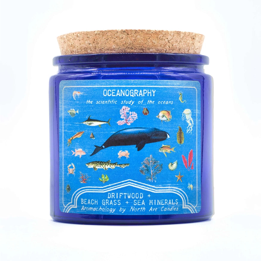 Oceanography Driftwood, Beach Grass & Sea Minerals Scented Jar Candle