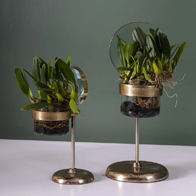 Spy Glass Planter