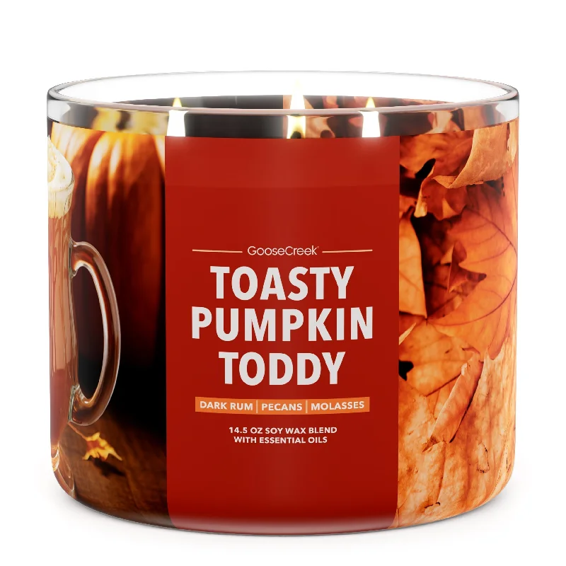 Toasty Pumpkin Toddy 3-Wick Candle